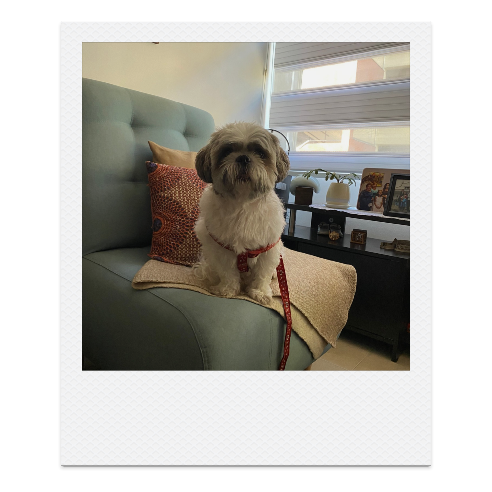 Oliver